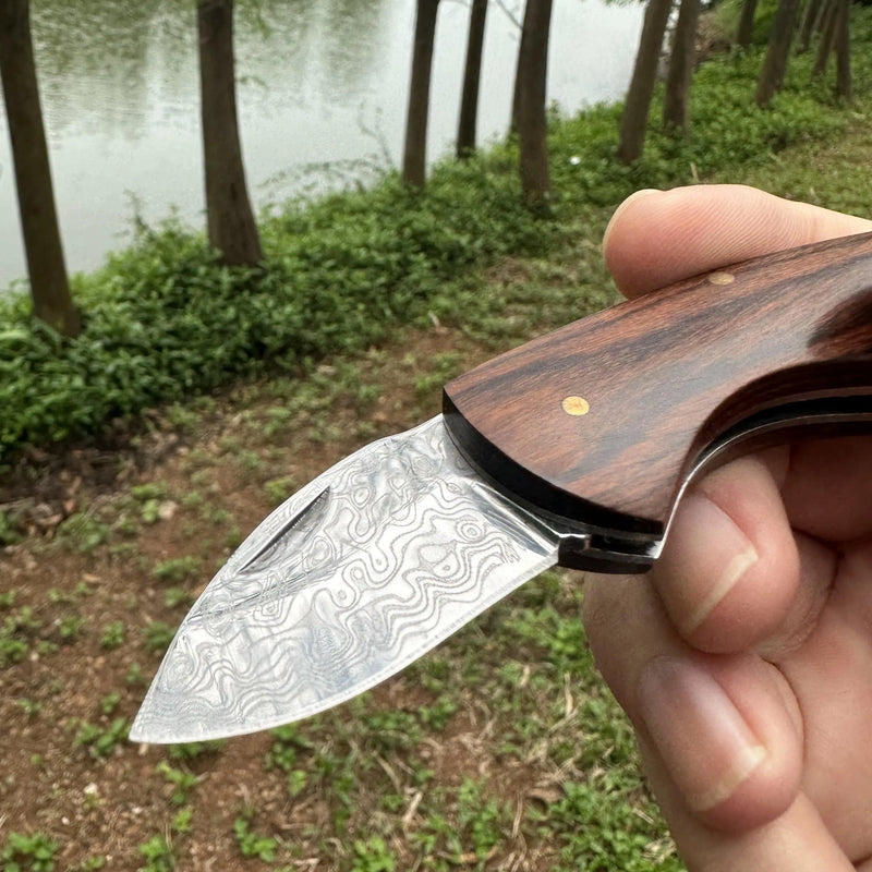 Handmade Mini EDC Knife - Laser Damascus, Rosewood Handle