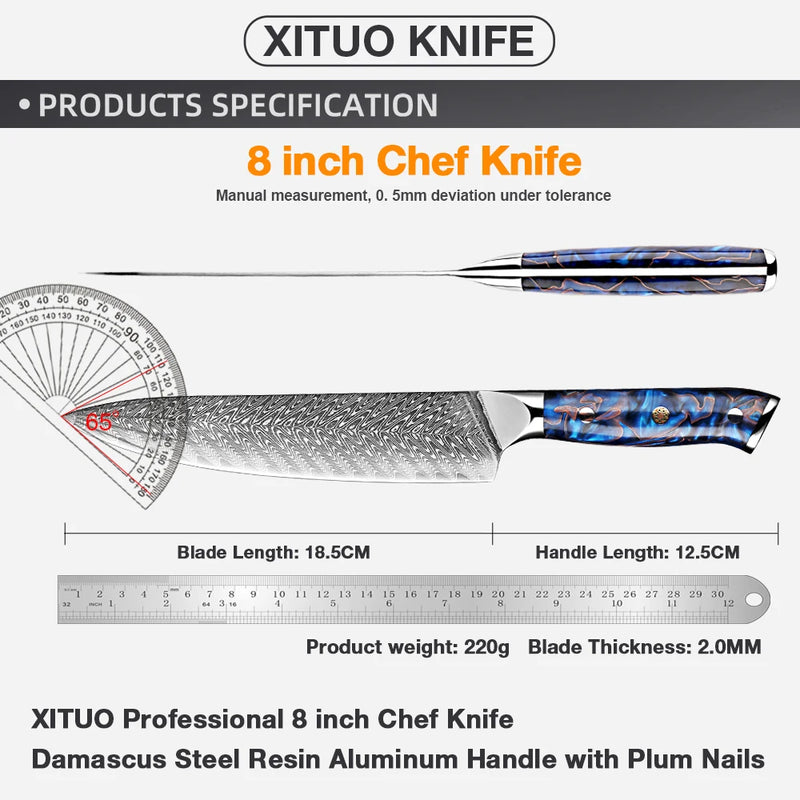 8-Inch Special Chef Knife - Japanese Damascus Steel, Professional Sharp Kitchen Knife with Full Tang Handle for Meat and Fish