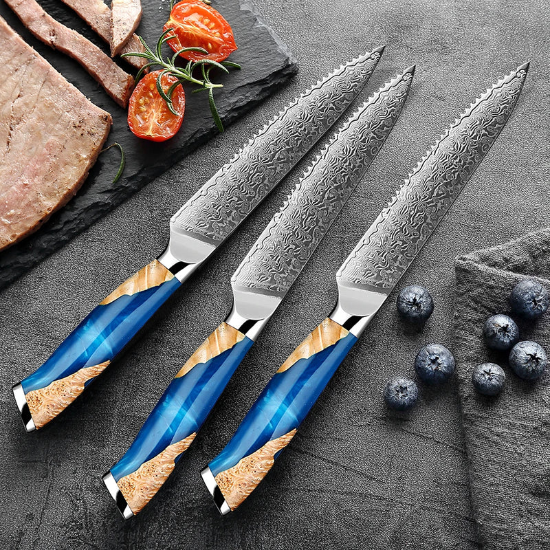 Steak Knife Set 4 -Piece - Japanese VG10 Steel Blades, 5-Inch Premium Serrated