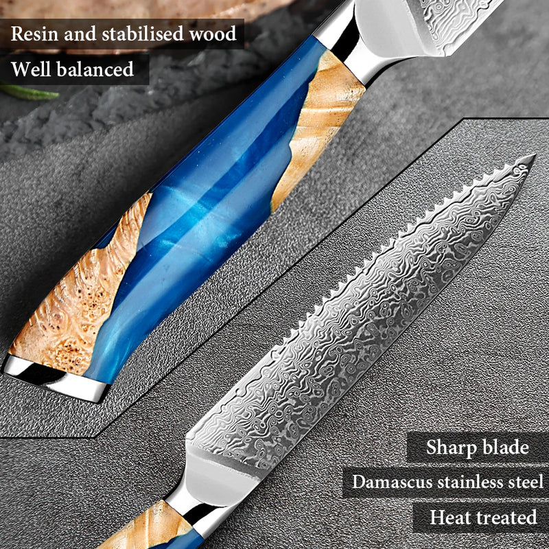 Steak Knife Set 2-Piece - Japanese VG10 Steel Blades, 5-Inch Premium Serrated